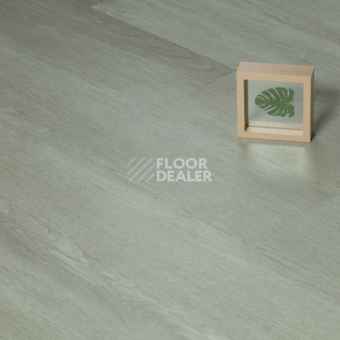 Tarkett Funky House CRUZE фото 4 | FLOORDEALER